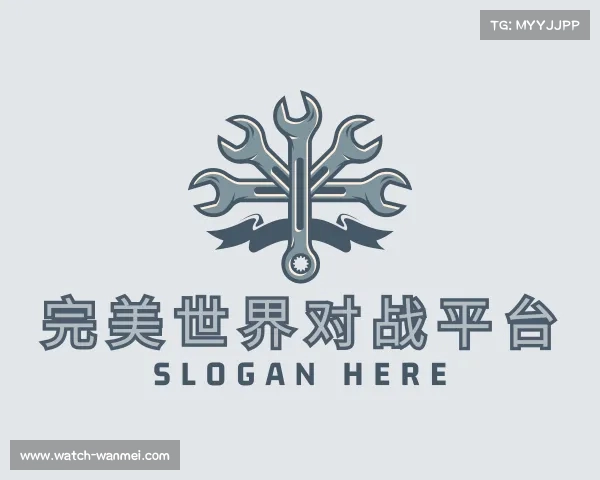 关于完美世界对战入口